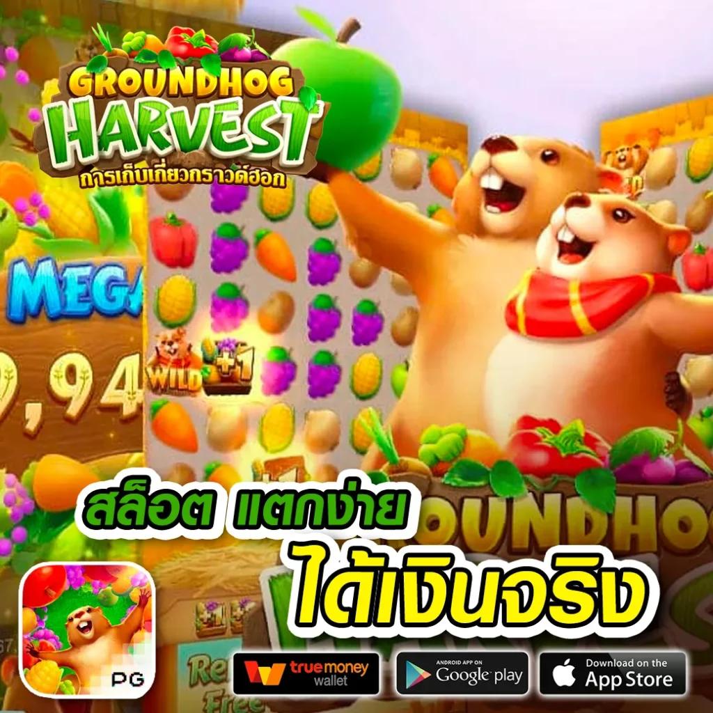 คาสิโนออนไลน์ สปิน ฟรี | โปรโมชั่นสุดคุ้มและเกมสนุก